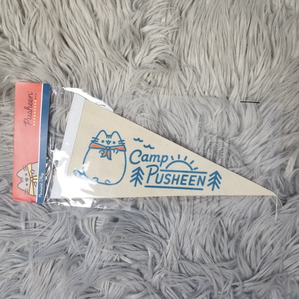 Camp Pusheen Penant Banner Flag Box Summer 2020